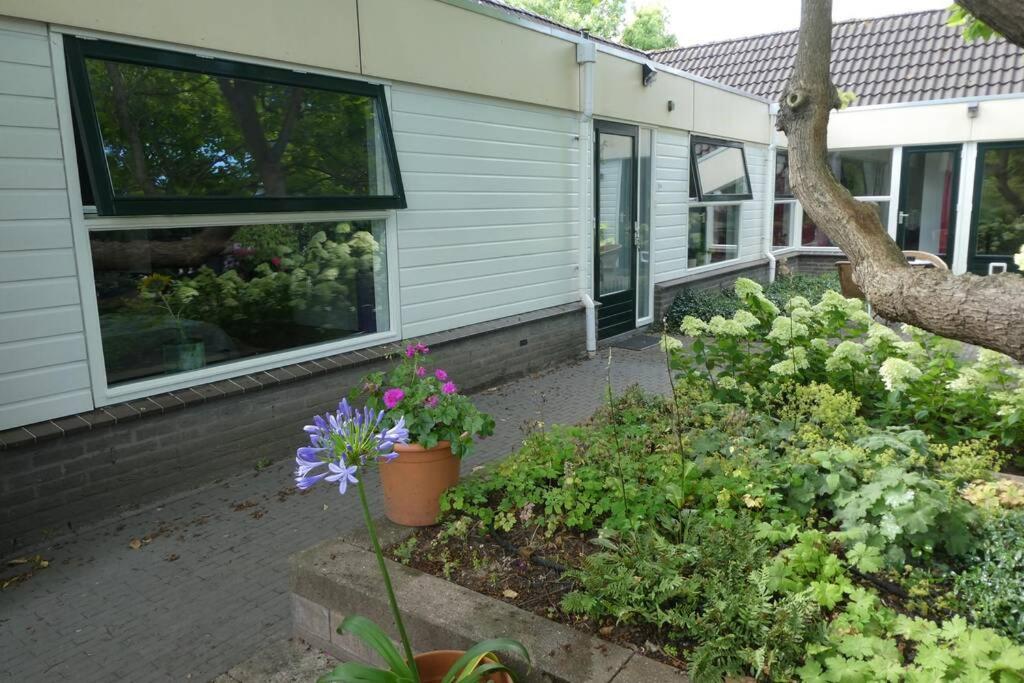 Huis Bij De Catalpa Dordrecht Eksteriør bilde